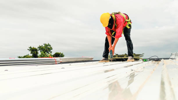 Best Metal Roofing Installation  in Cincinnati, OH
