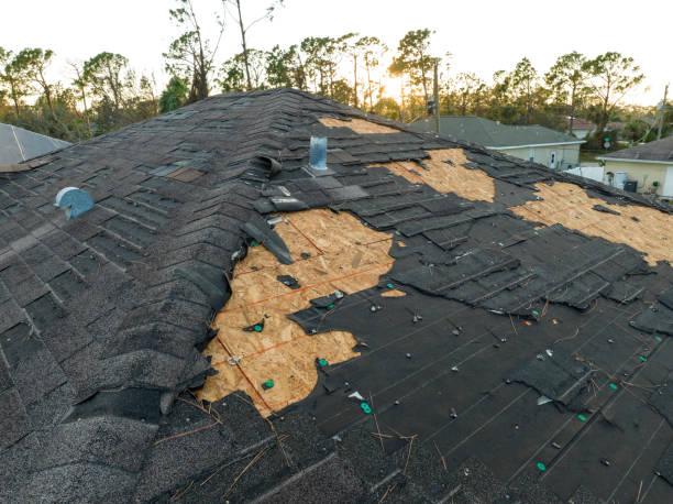 Best Asphalt Shingles Roofing  in Cincinnati, OH